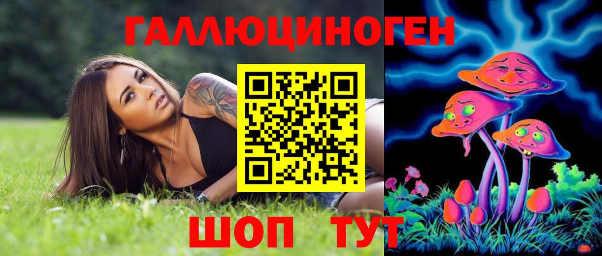 Псилоцибиновые грибы прущие грибы  Вход с VPN  Мценск 